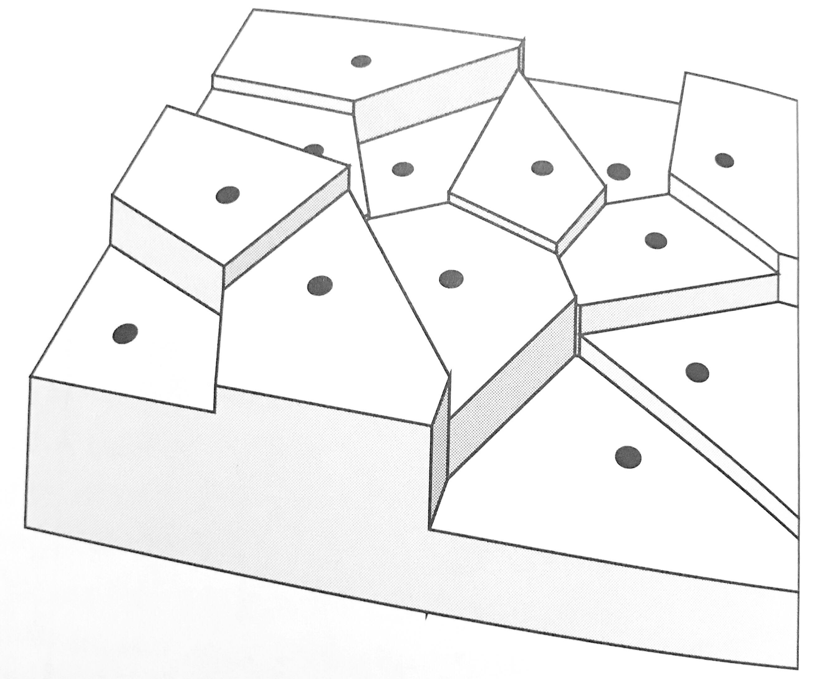 Figure 2. A field according to Voronoi polygons